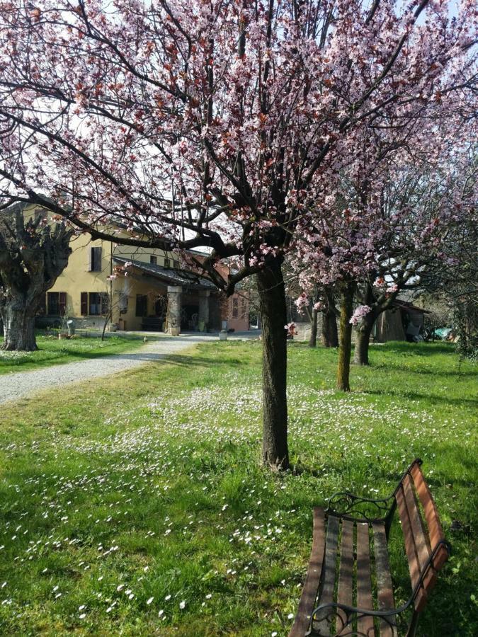 R&B Albero Cavo Parma Bed & Breakfast Ngoại thất bức ảnh