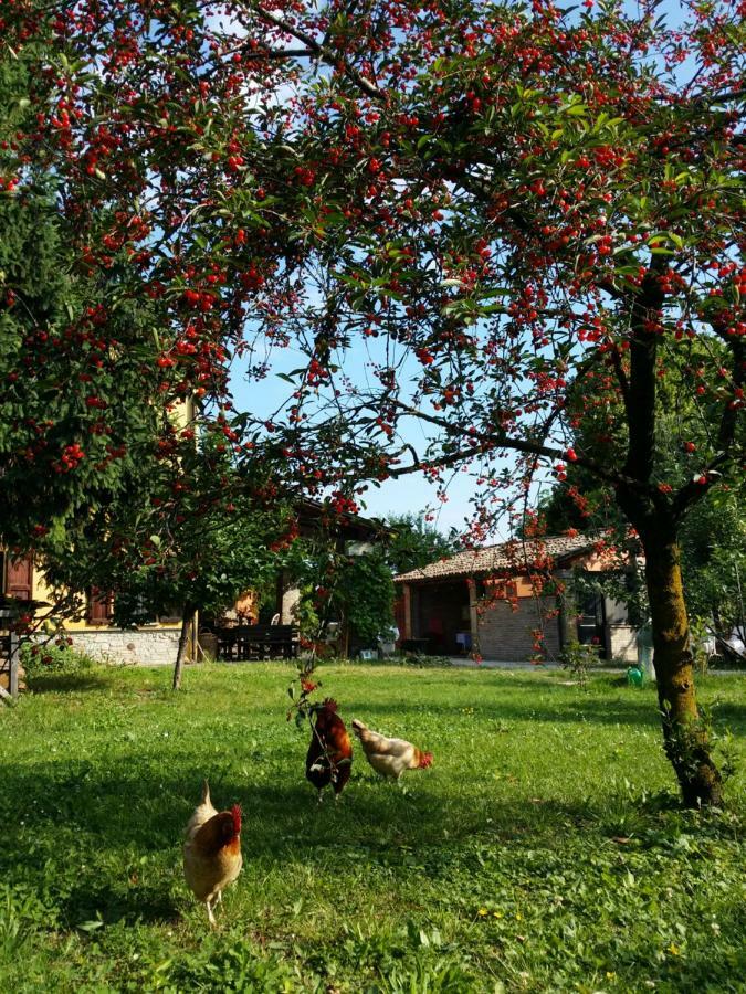 R&B Albero Cavo Parma Bed & Breakfast Ngoại thất bức ảnh